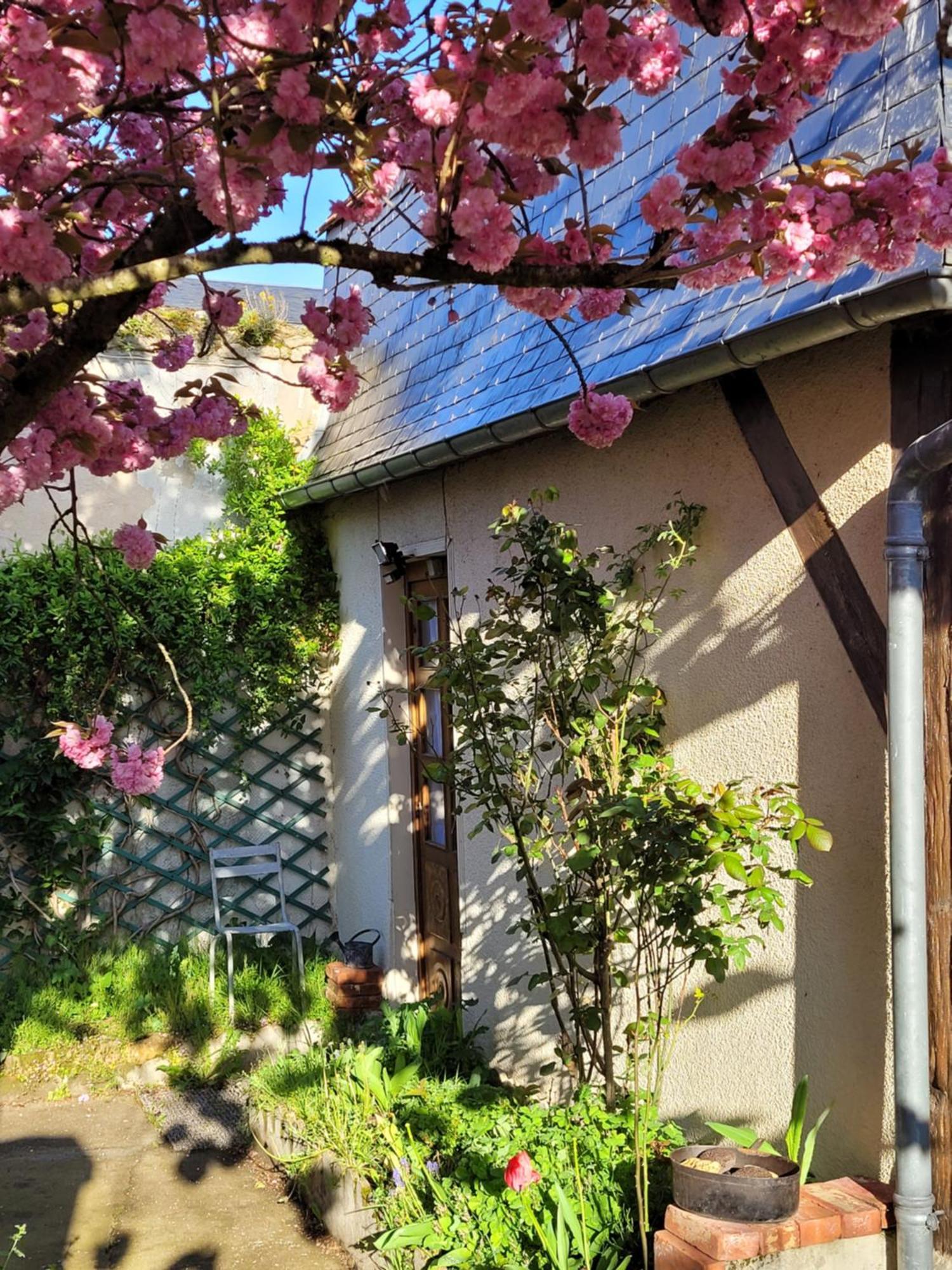 La Cour Du Chateau La Charité-sur-Loire Exteriér fotografie